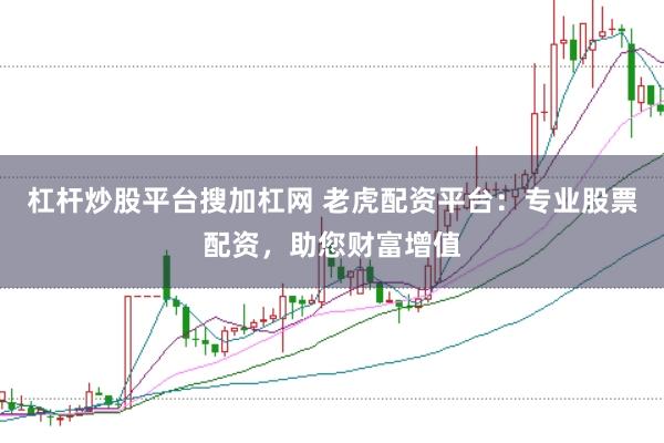 杠杆炒股平台搜加杠网 老虎配资平台：专业股票配资，助您财富增值