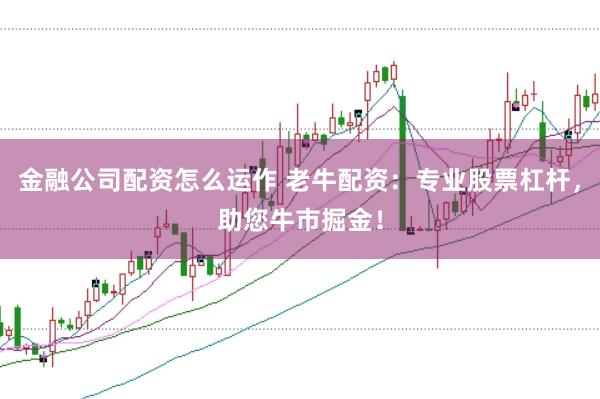 金融公司配资怎么运作 老牛配资：专业股票杠杆，助您牛市掘金！