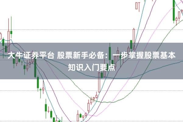 大牛证券平台 股票新手必备：一步掌握股票基本知识入门要点