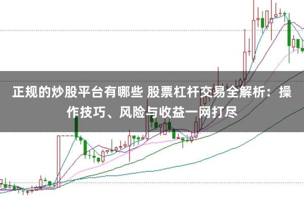正规的炒股平台有哪些 股票杠杆交易全解析：操作技巧、风险与收益一网打尽