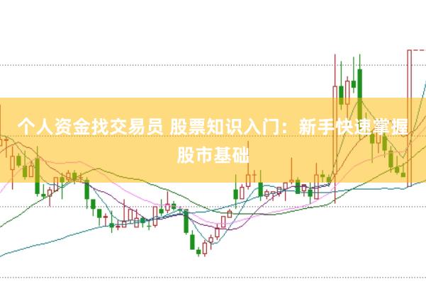 个人资金找交易员 股票知识入门：新手快速掌握股市基础