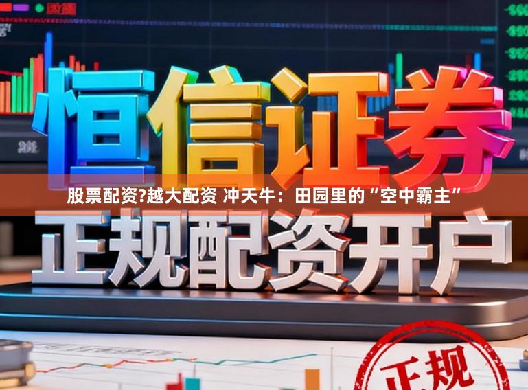 股票配资?越大配资 冲天牛：田园里的“空中霸主”