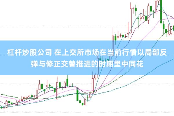 杠杆炒股公司 在上交所市场在当前行情以局部反弹与修正交替推进的时期里中同花