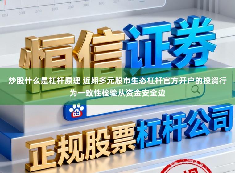 炒股什么是杠杆原理 近期多元股市生态杠杆官方开户的投资行为一致性检验从资金安全边