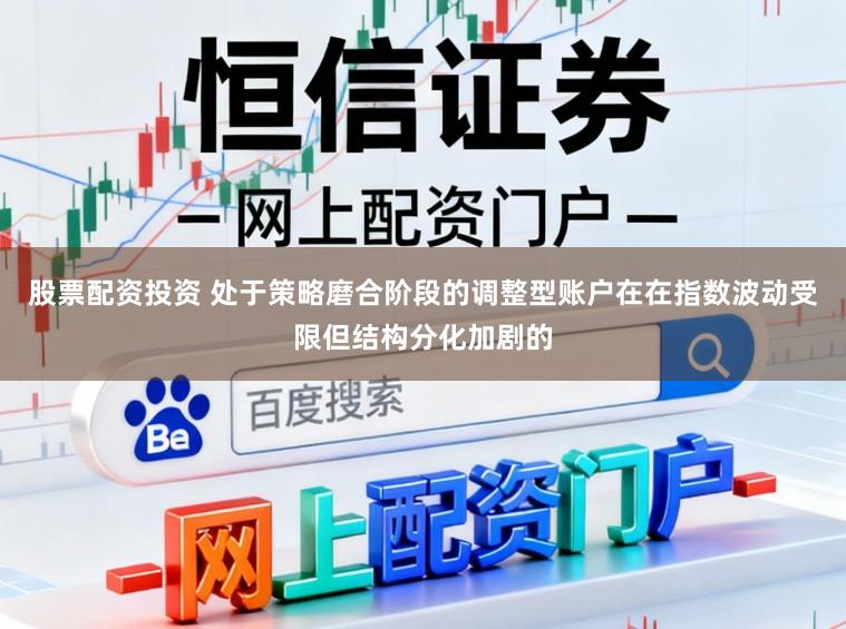 股票配资投资 处于策略磨合阶段的调整型账户在在指数波动受限但结构分化加剧的