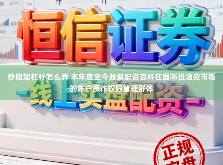 炒股加杠杆怎么弄 本年度至今股票配资百科在国际投融资市场的账户操作权限管理群体